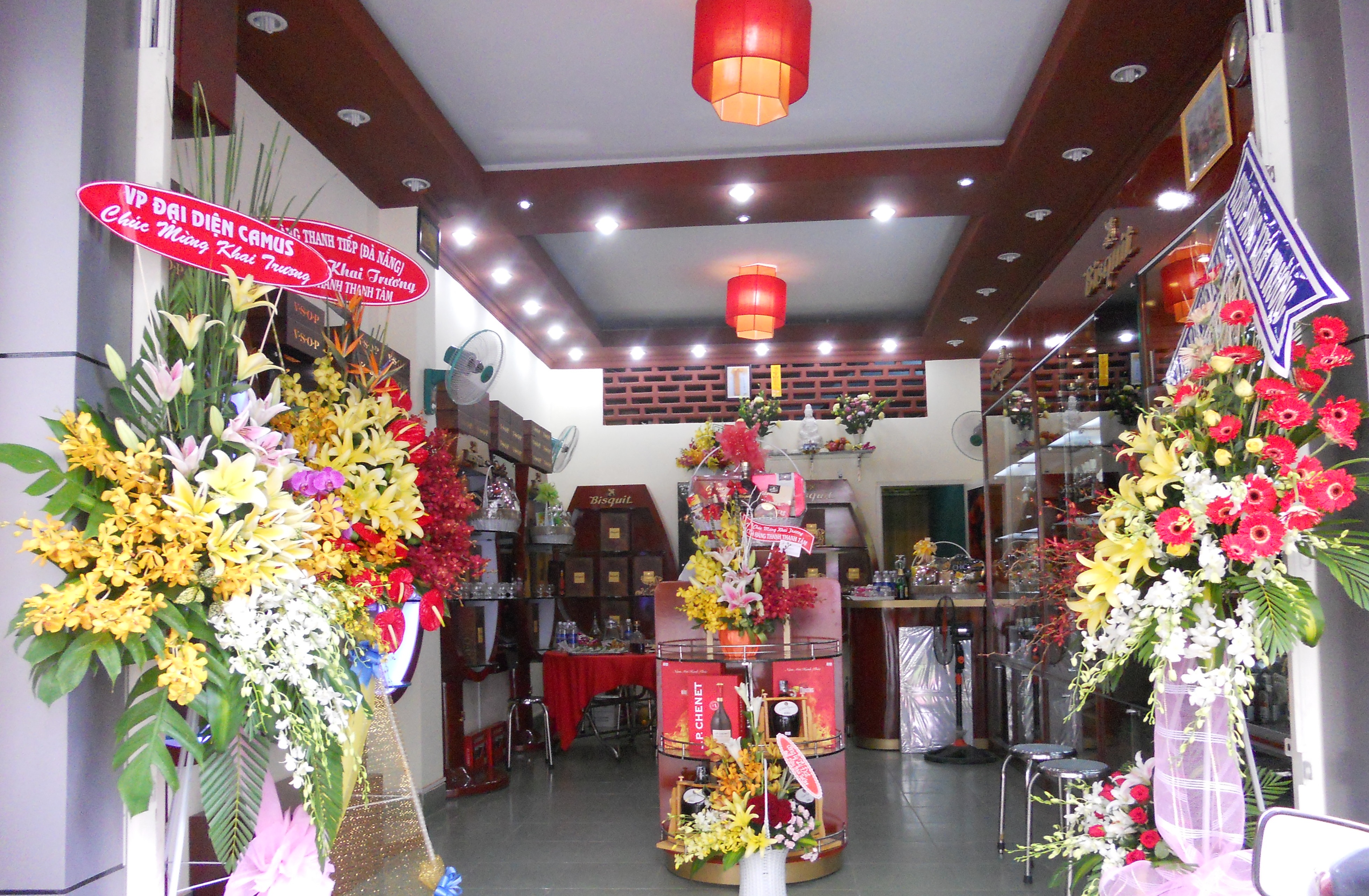 Tôi yêu buổi sáng sớm mặt trời chưa nhô cao, khi những ánh nắng đầu tiên chưa kịp soi vào mặt người.